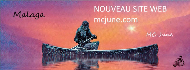 Nouveau site web